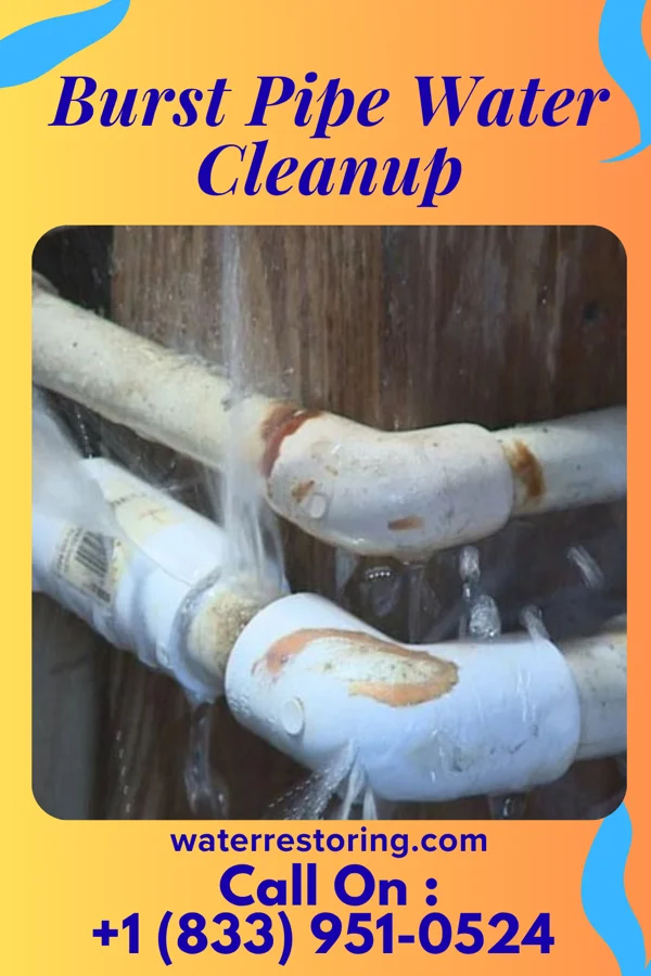 Burst Pipe Water Cleanup in Downing, WI