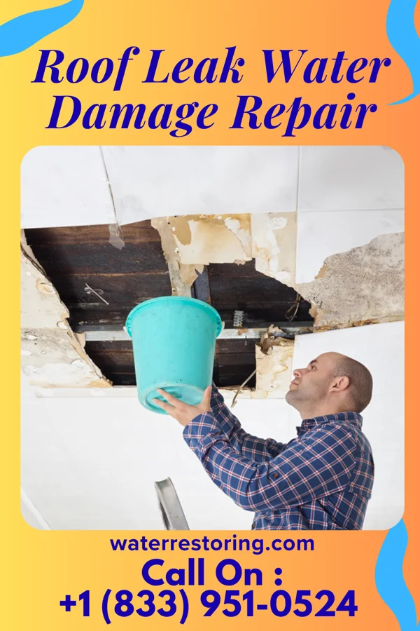 Roof Leak Water Damage Repair in Downing, WI
