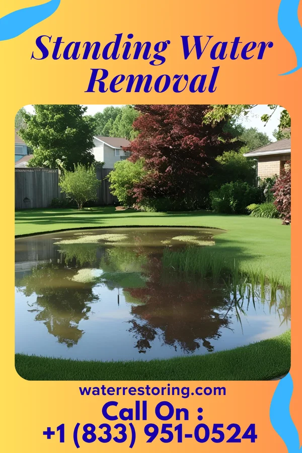 Standing Water Removal in Downing, WI